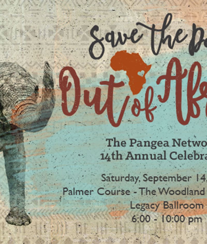 The Pangea Network