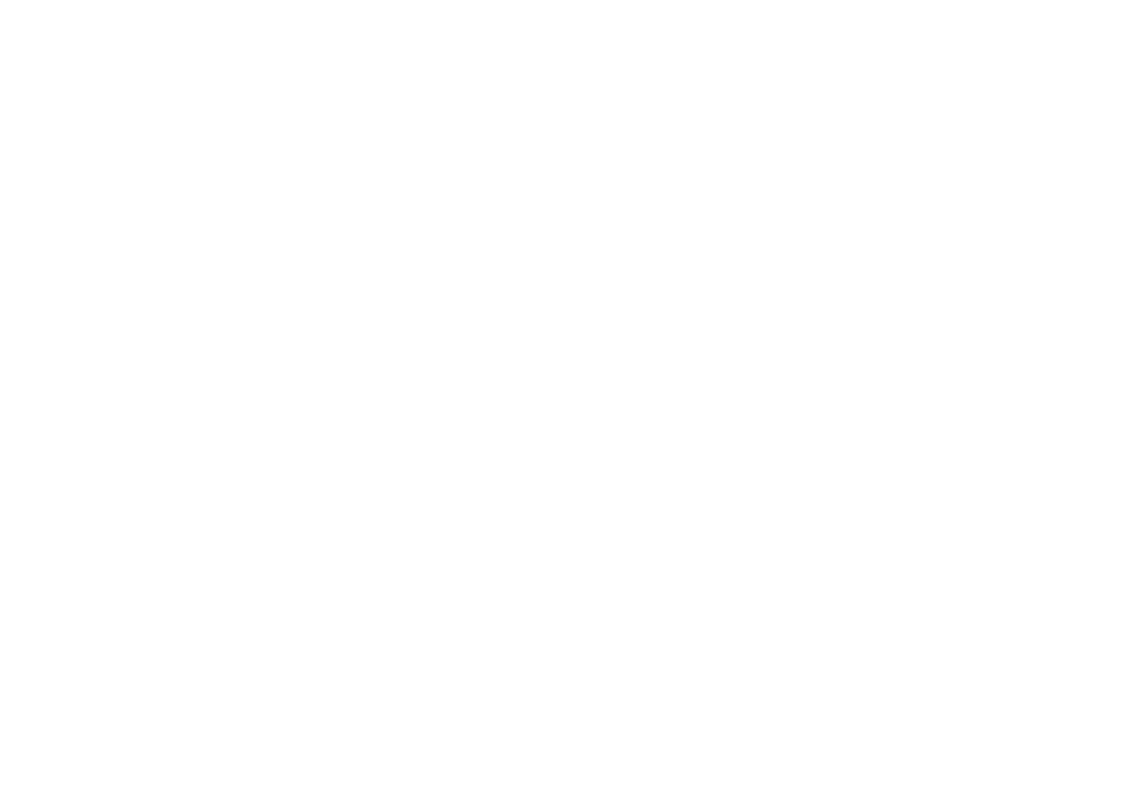 Netspend-W-logo