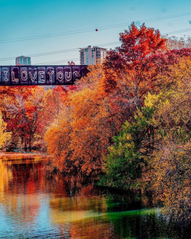 It may not feel like fall but it’s officially the start of the season! Who’s ready for pumpkins, haunted houses and all things spooky? 👻 

Photography cred: @sh._.y (their work is awesome) 

#fallcolors #atxlife #fallfoliage #atxlifestyle #spookyseason #atxart #naturephotography #atxnature #autumnaesthetic